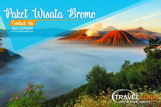 paket wisata bromo private