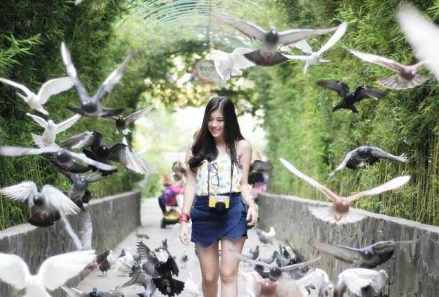 Eco Green Park Jatim Park 2