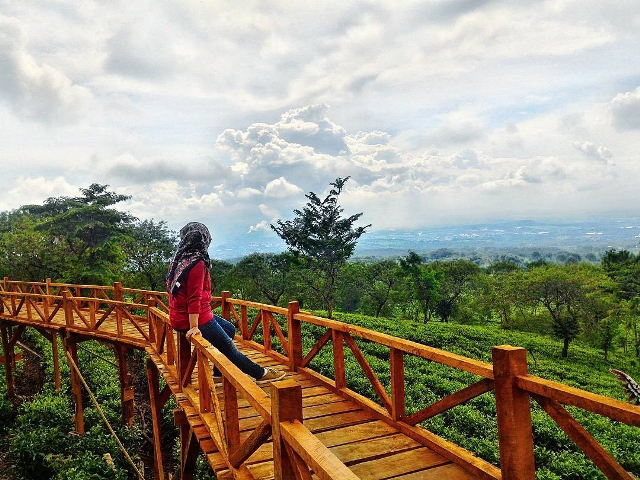 lokasi Bukit Kuneer Malang