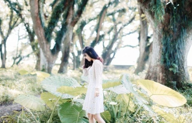 Tempat Wisata di Banyuwangi - Alas Baluran