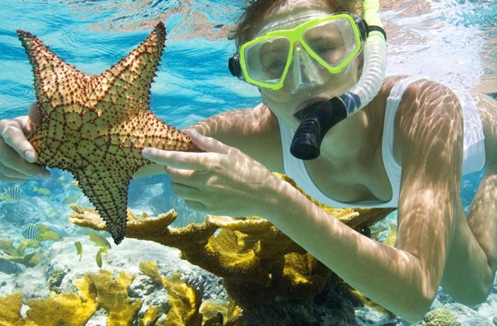 Snorkeling di Pulau Menjangan